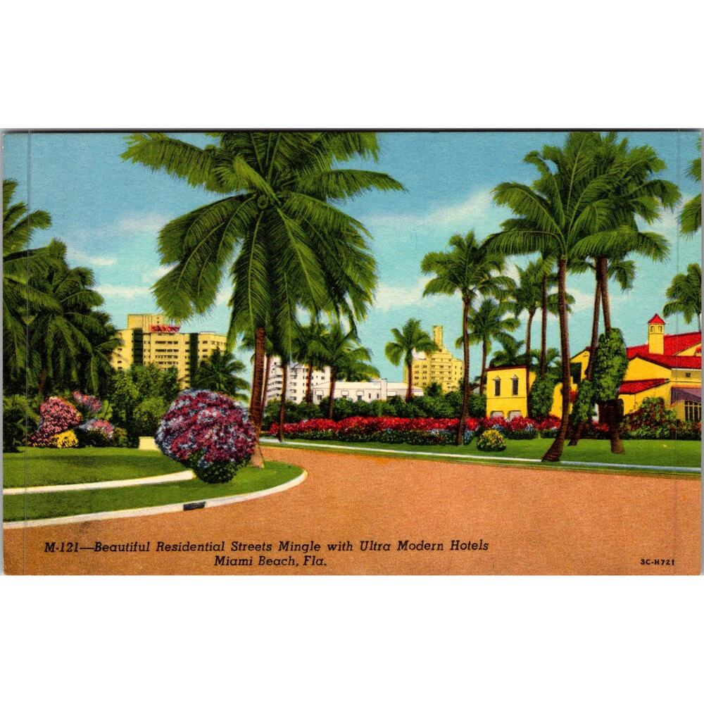 Beautiful Residential Street Miami Beach FL Vintage Postcard SP17-28